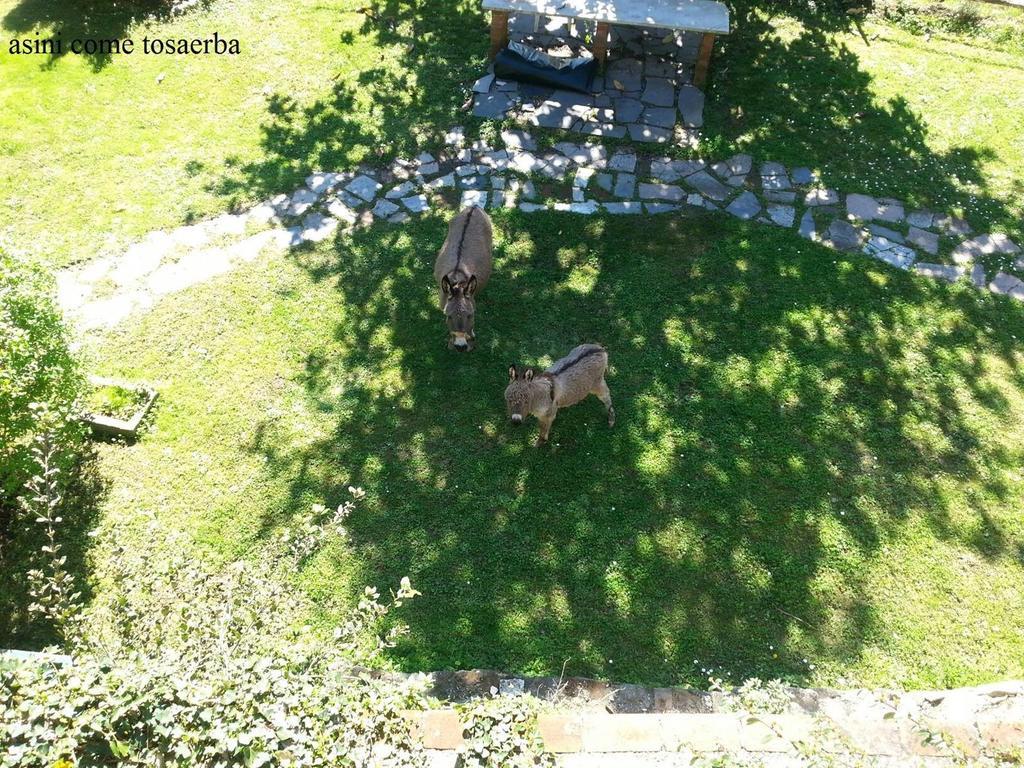 Вилла Il Borgo Della Colomba Фоздиново Экстерьер фото